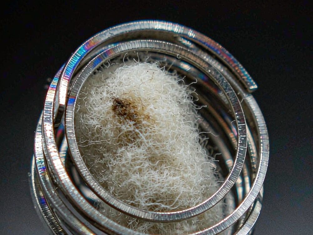 B2B Supply of Beipu disposables — new arrivals