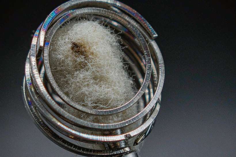B2B Supply of Beipu in Japan — OEM available
