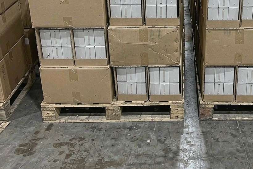 B2B Supply of Beipu in Japan — Winter special