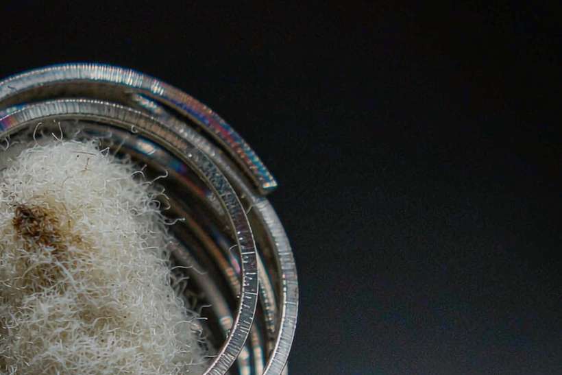 B2B Supply of Beipu mods — Middle East
