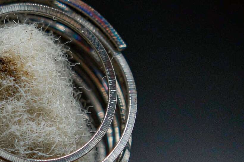B2B Supply of Beipu pods — EU stock