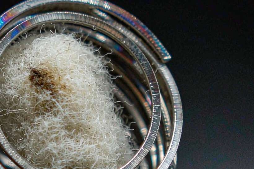 Bulk Distribution for Beipu kits — Winter special