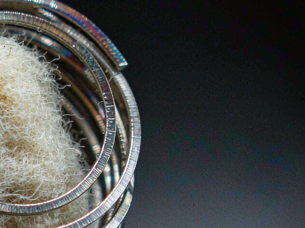 Bulk Distribution for Japan Beipu — verified suppliers