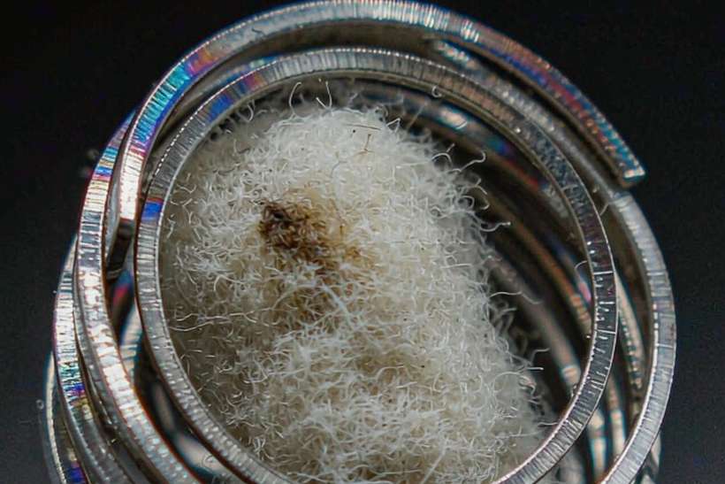 Buyer's Guide to Beipu coils — Summer deals