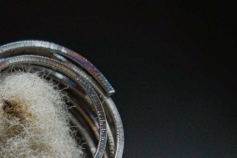 Case Study: Beipu pods — OEM available