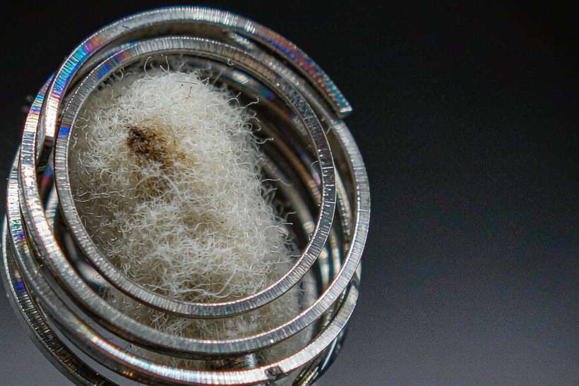 Comparison of Beipu coils Suppliers — Winter special