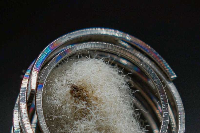 FAQ on Beipu disposables — ODM ready
