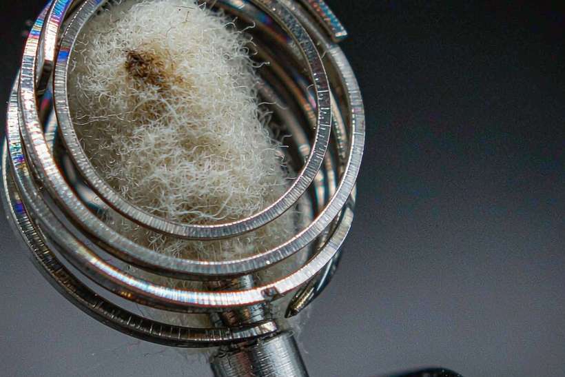Import Guide for Beipu e-liquid — Spring catalog
