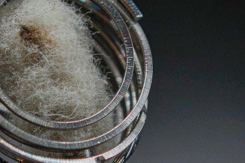 Launch Plan for Beipu coils — Autumn stock