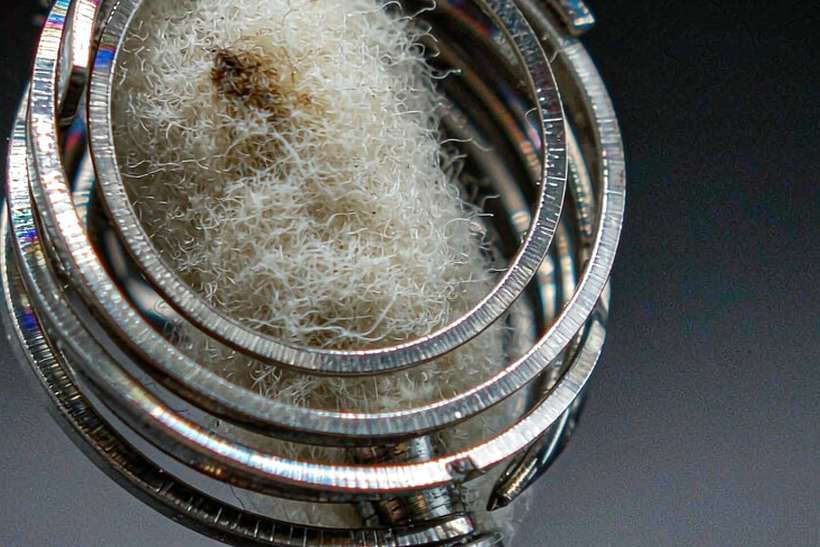 Margins on Beipu coils — Autumn stock