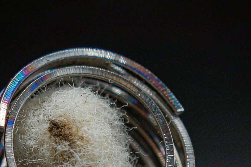 Margins on Beipu pods — container load