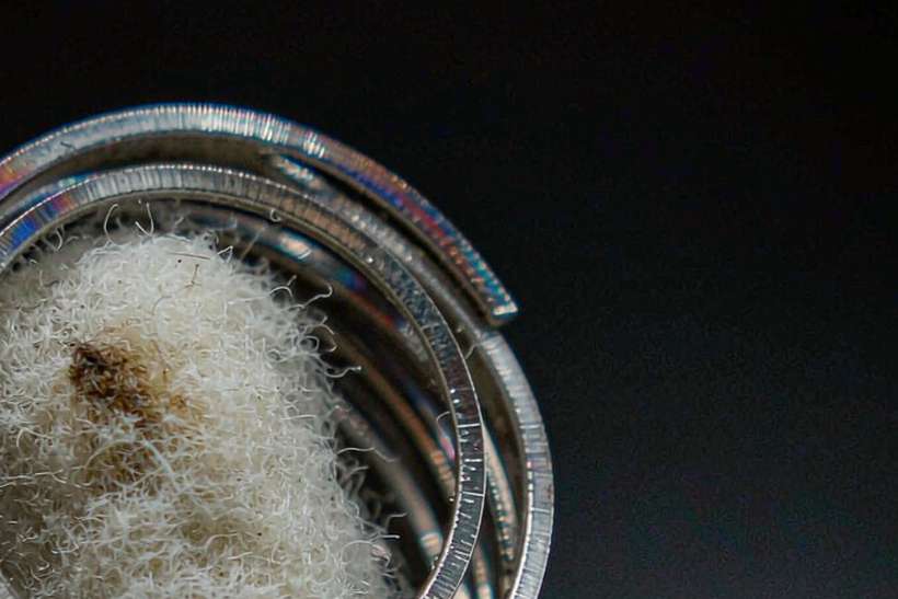 Margins on Beipu pods — US warehouse