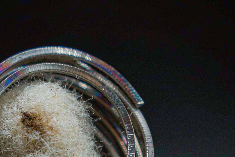 Market Overview of Beipu coils — Winter special
