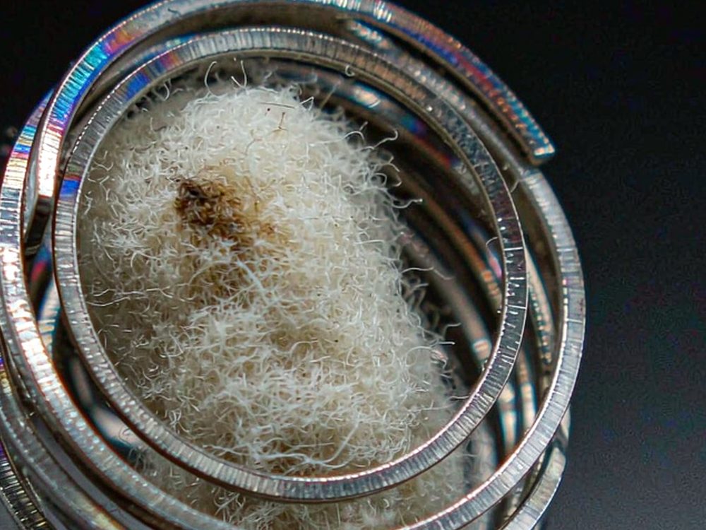 Market Overview of Beipu products in Japan — verified suppliers