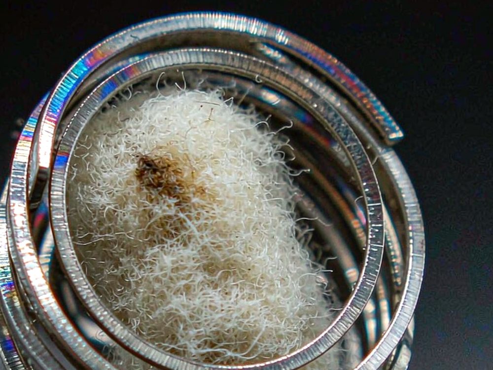 OEM and ODM Options for Beipu pods — premium tier