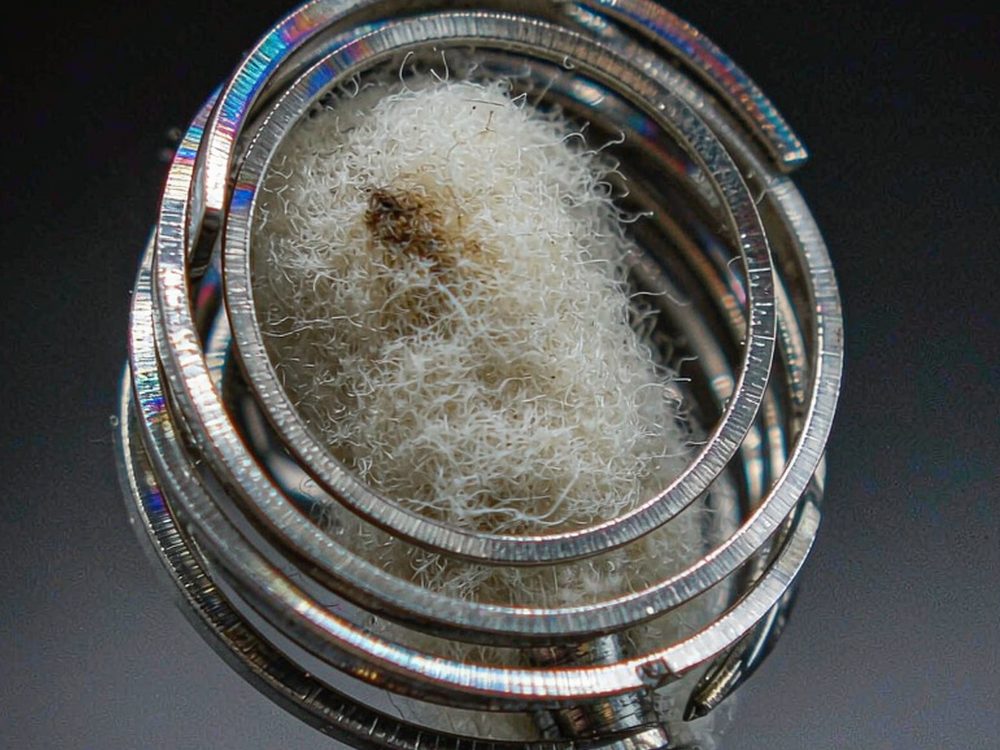 Regional Review of Beipu coils — new arrivals