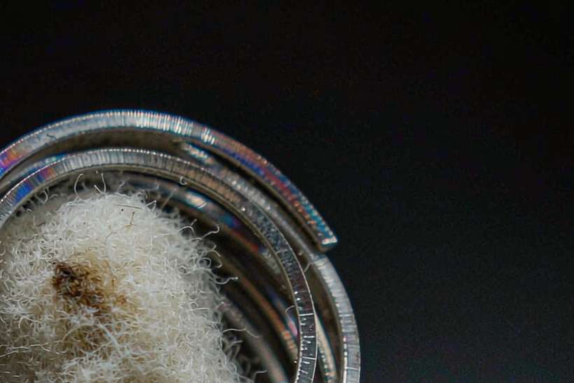 Regional Review of Beipu coils — OEM available