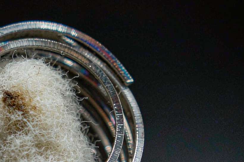 Regional Review of Beipu coils — small parcel