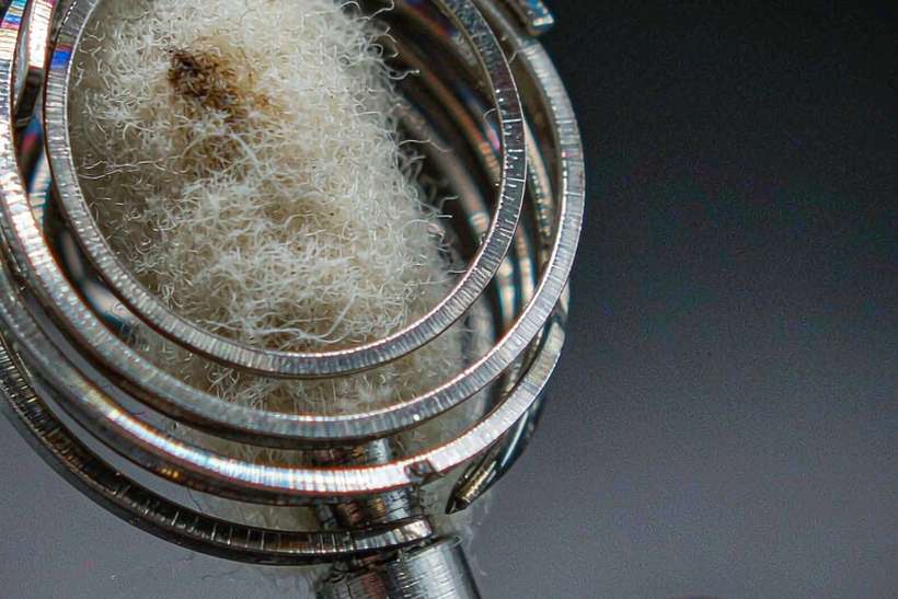 Regional Review of Beipu coils — Summer deals
