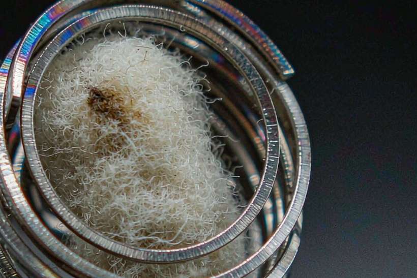 Regional Review of Beipu pods — Asia Pacific