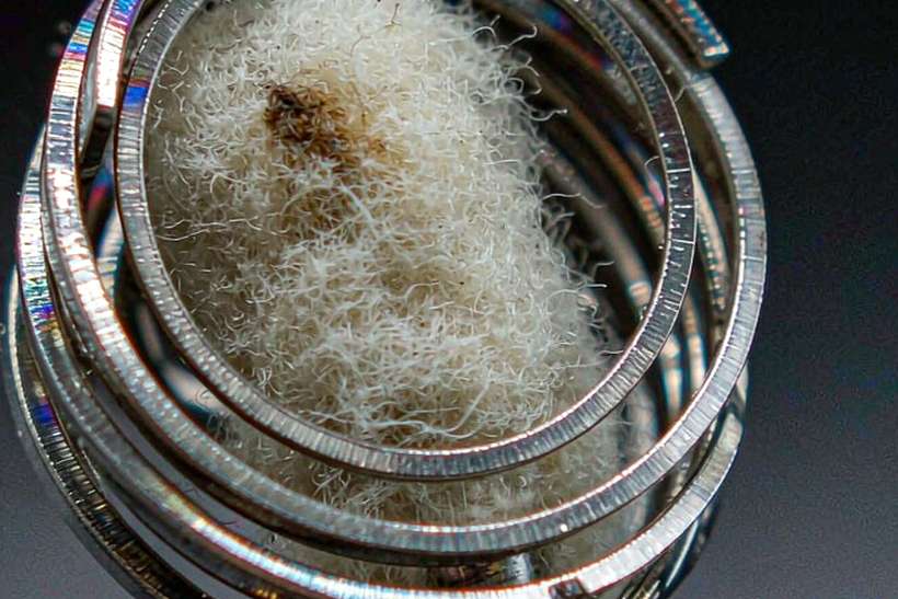 Regional Review of Beipu pods — OEM available