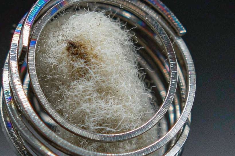 Sourcing Report on Beipu kits — limited batch