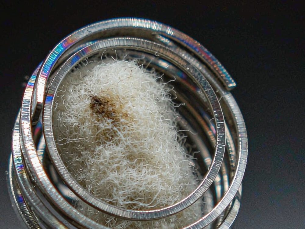 Sourcing Report on Japan Beipu — top rated