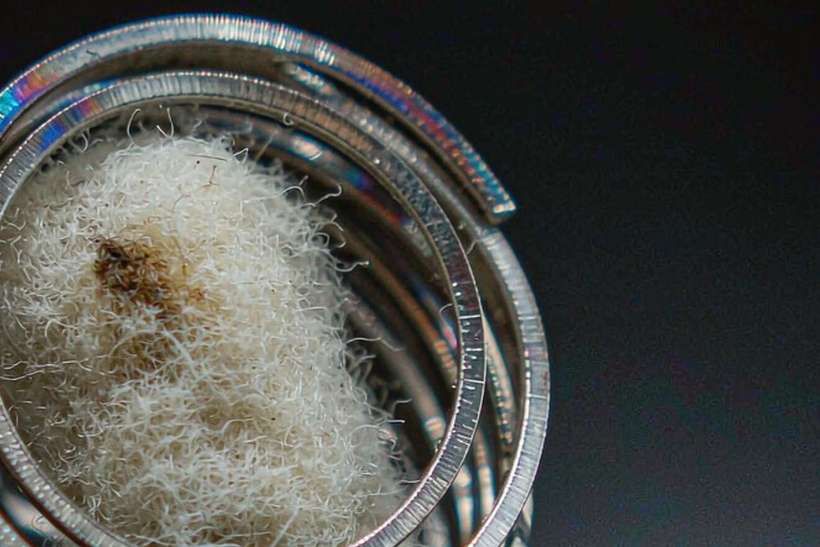 Top Picks of Beipu coils — Spring catalog