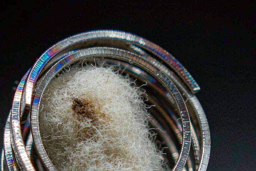 Top Picks of Beipu e-liquid — Middle East