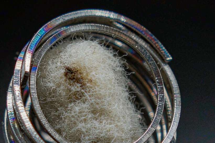 Top Picks of Beipu kits — small parcel