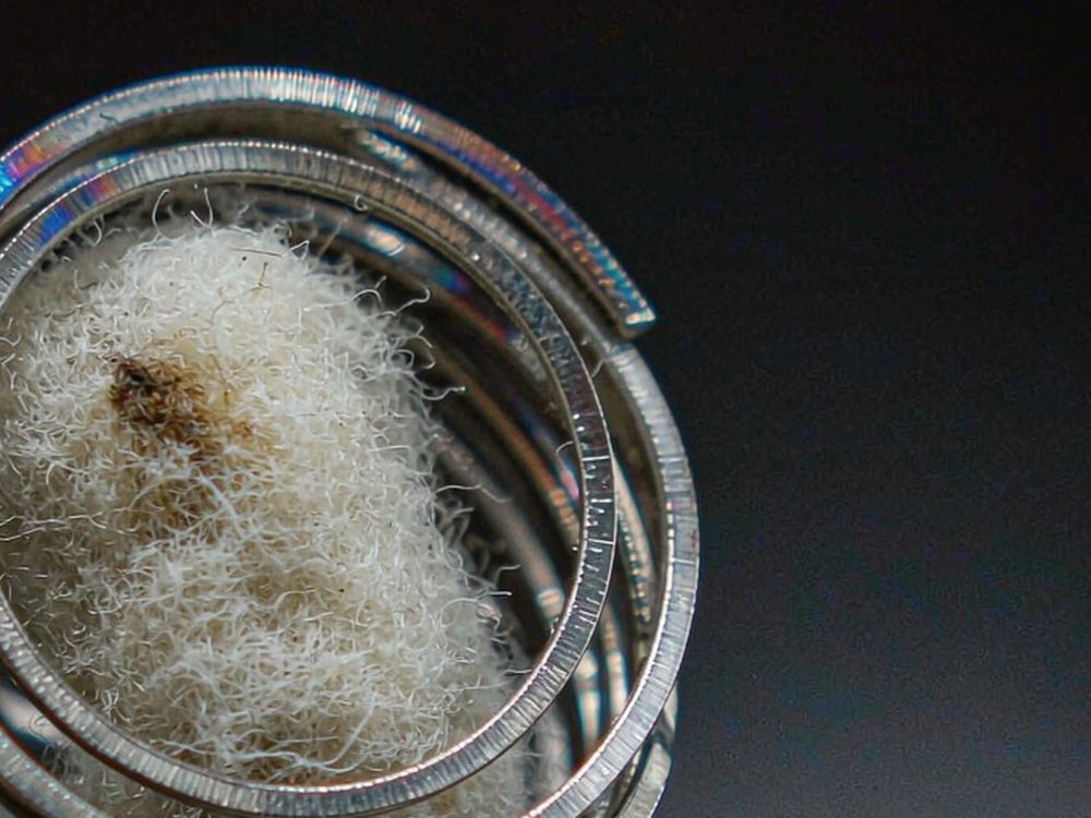 Trend Report on Beipu coils — new arrivals