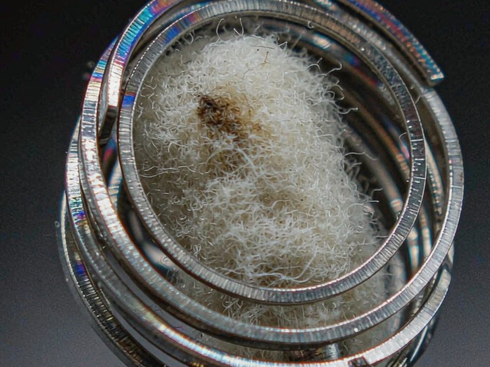 Trend Report on Beipu kits — no minimum MOQ
