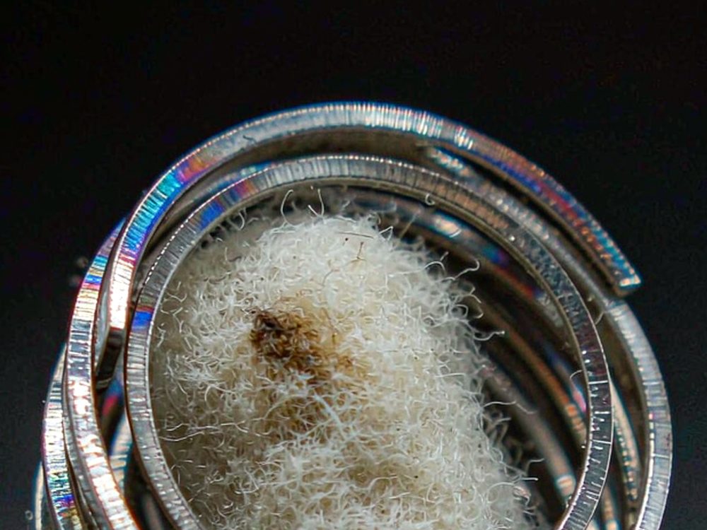 Trend Report on Beipu pods — new arrivals